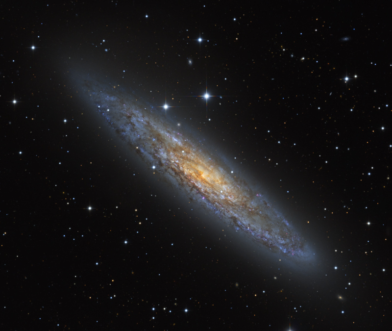 NGC253