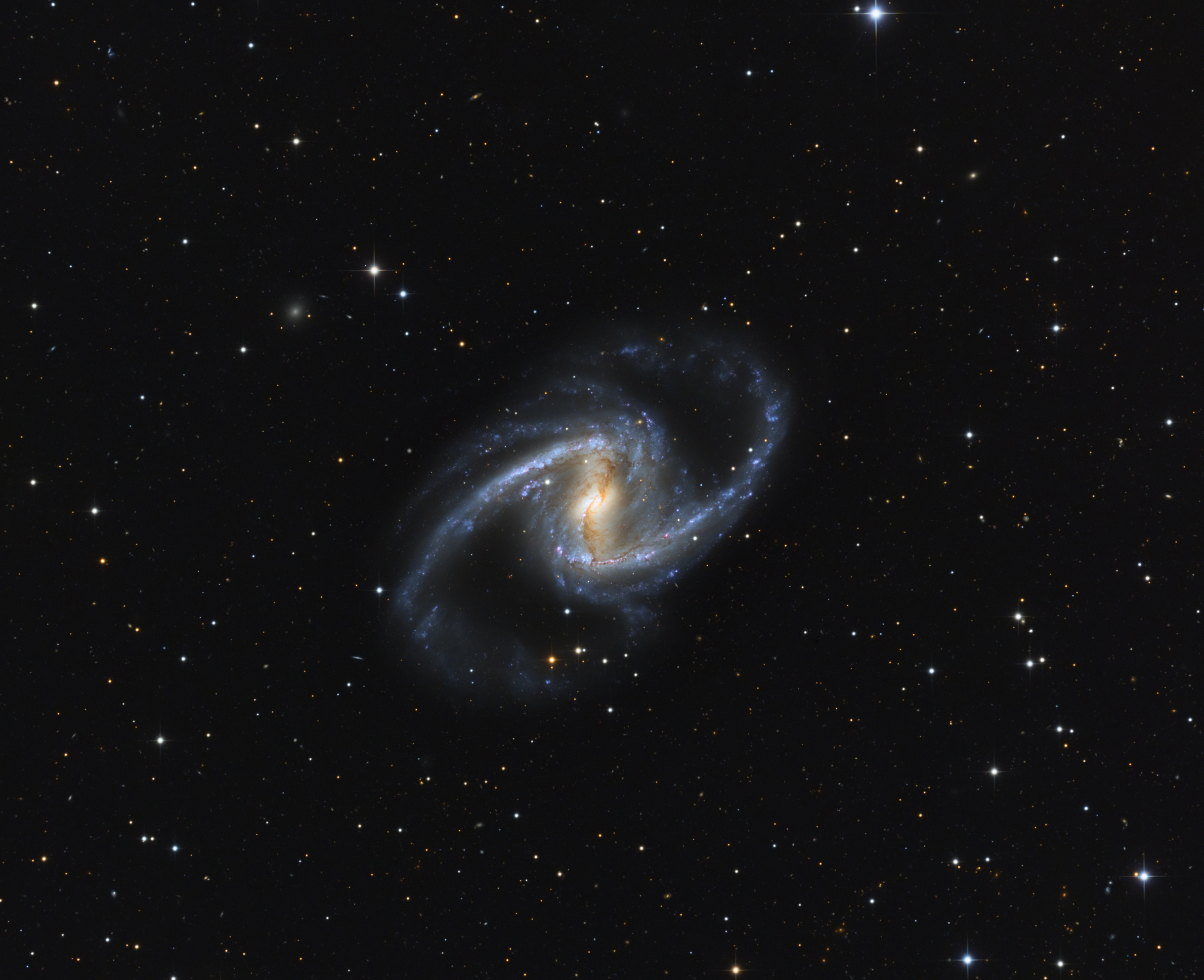 NGC1365